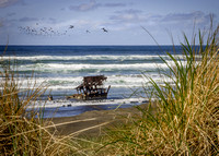 The Wreckage of the Peter Iredale