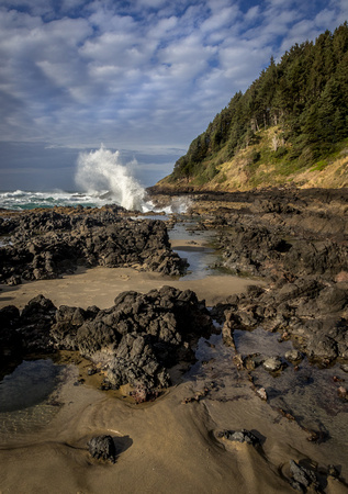 Cape Perpetua